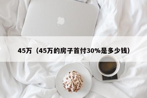 45万（45万的房子首付30%是多少钱）