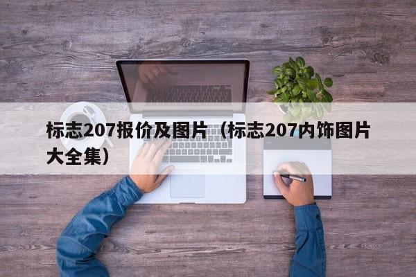 标志207报价及图片（标志207内饰图片大全集）