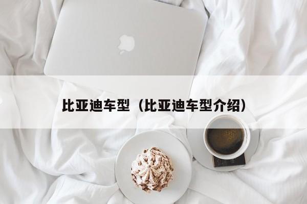 比亚迪车型（比亚迪车型介绍）