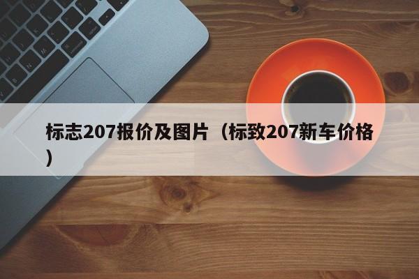 标志207报价及图片（标致207新车价格）