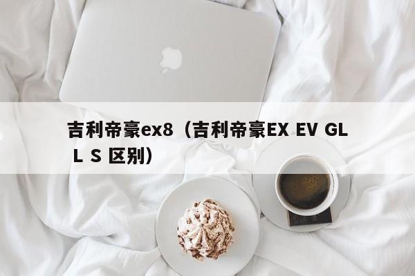 吉利帝豪ex8（吉利帝豪EX EV GL L S 区别）