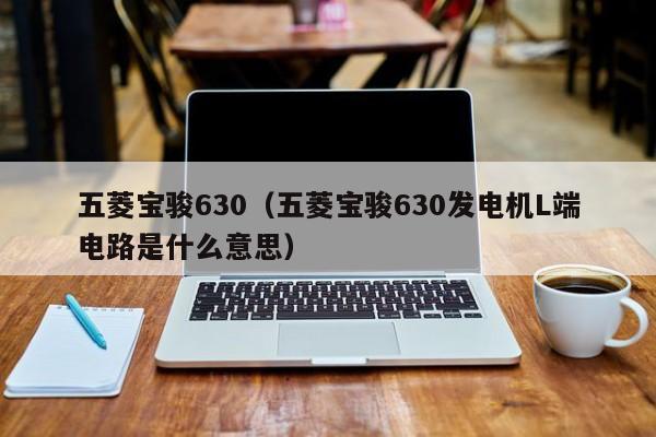 五菱宝骏630（五菱宝骏630发电机L端电路是什么意思）