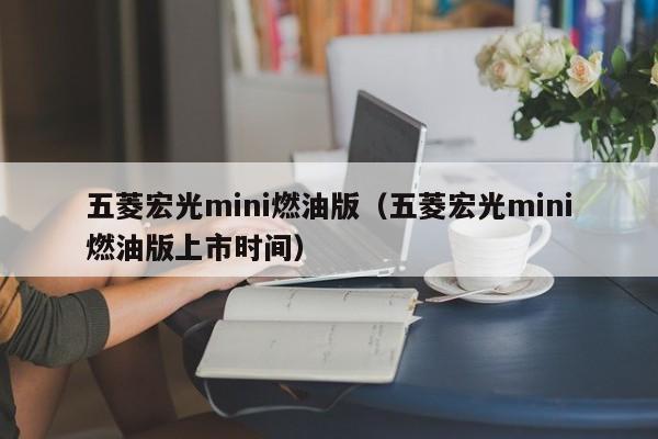 五菱宏光mini燃油版（五菱宏光mini燃油版上市时间）