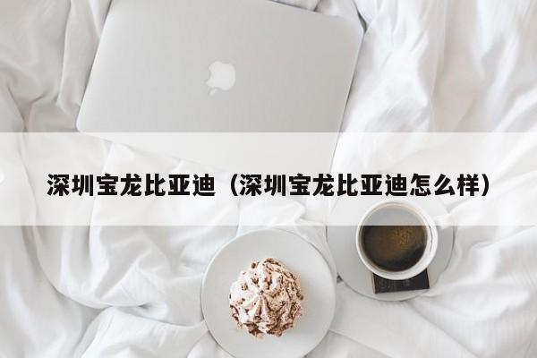 深圳宝龙比亚迪（深圳宝龙比亚迪怎么样）