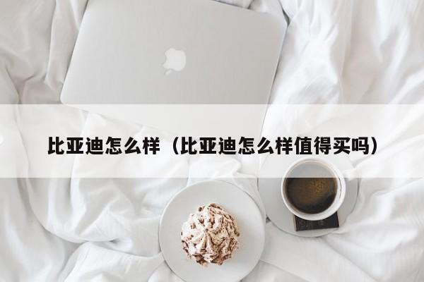 比亚迪怎么样（比亚迪怎么样值得买吗）