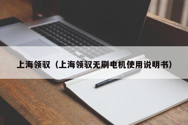 上海领驭（上海领驭无刷电机使用说明书）