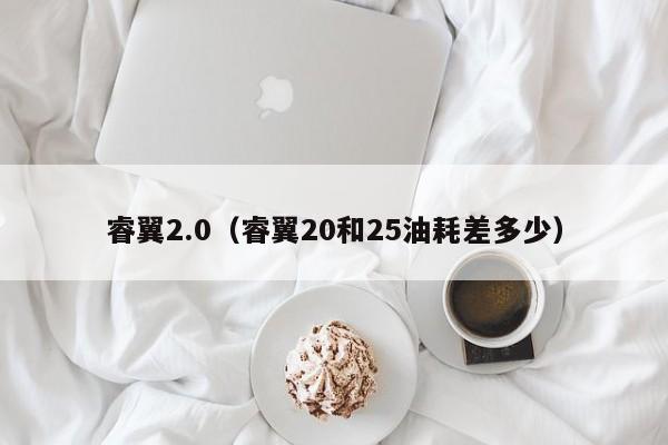 睿翼2.0（睿翼20和25油耗差多少）