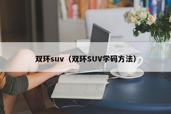 双环suv（双环SUV学码方法）