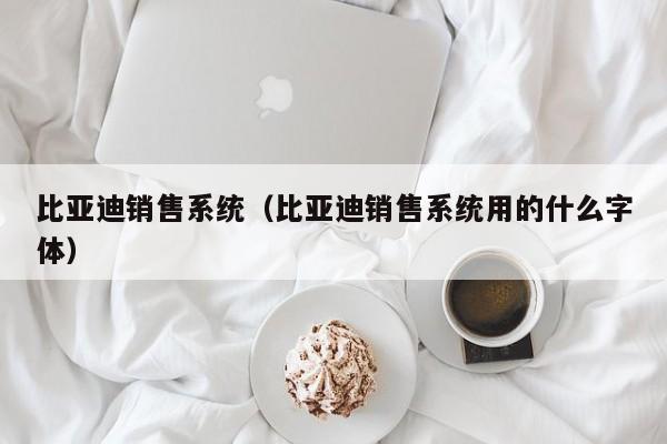 比亚迪销售系统（比亚迪销售系统用的什么字体）