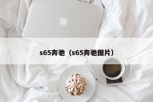 s65奔驰（s65奔驰图片）