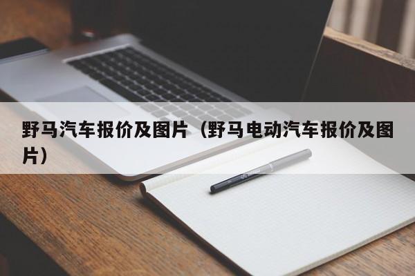 野马汽车报价及图片（野马电动汽车报价及图片）