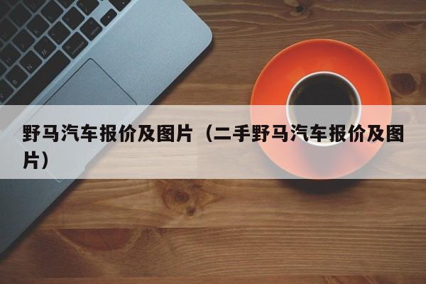 野马汽车报价及图片（二手野马汽车报价及图片）