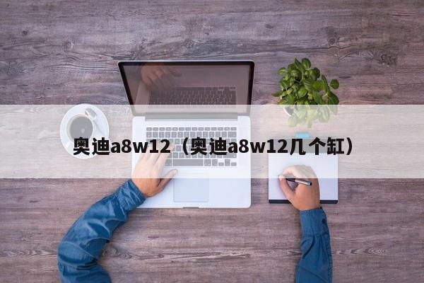 奥迪a8w12（奥迪a8w12几个缸）