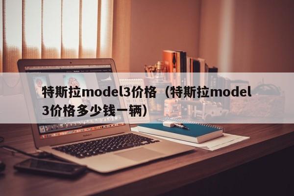 特斯拉model3价格（特斯拉model3价格多少钱一辆）