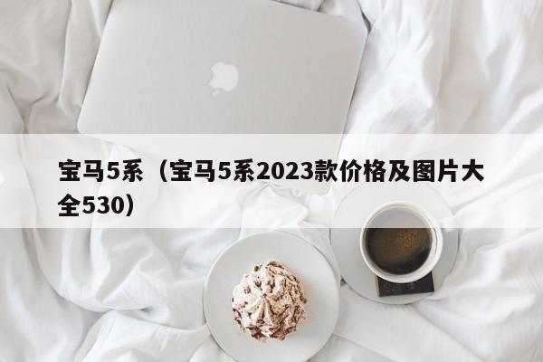 宝马5系（宝马5系2023款价格及图片大全530）