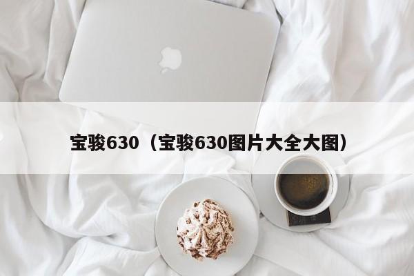 宝骏630（宝骏630图片大全大图）