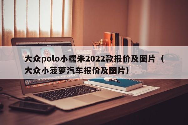 大众polo小糯米2022款报价及图片（大众小菠萝汽车报价及图片）